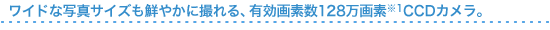 ChȎʐ^TCYN₩ɎBALf128f 1CCDJB