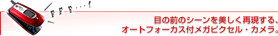 ڂ̑ÕV[ČBI[gtH[JXtKsNZEJB